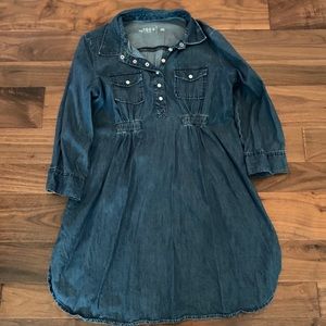 Gap Denim Maternity Dress